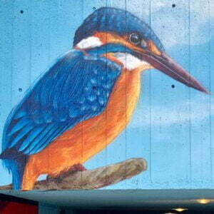 graffiti ijsvogel