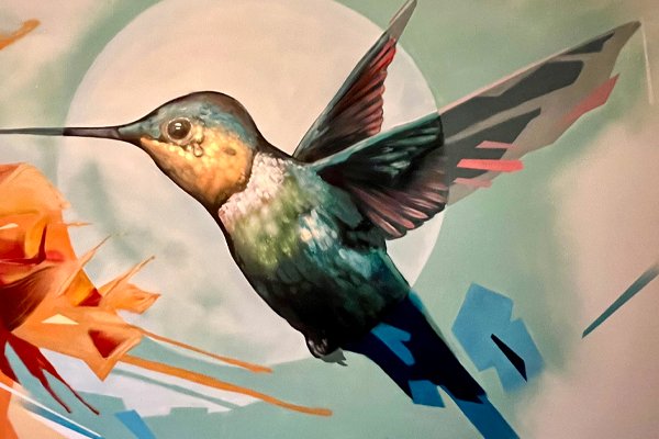 kolibri graffiti