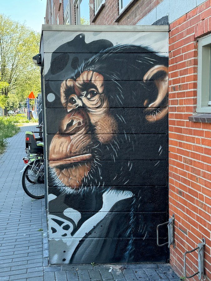 Graffiti kunstenaars Nederland